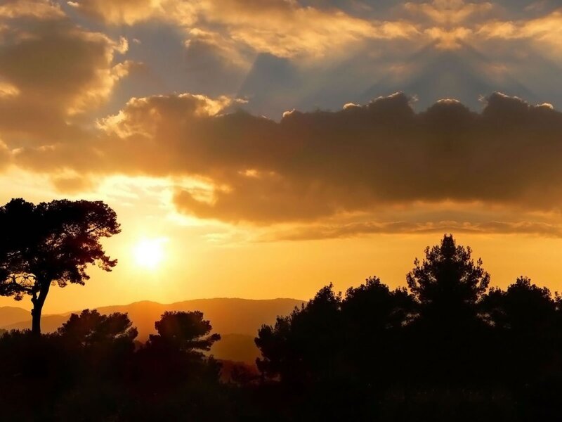 Silhouetted Trees at Sunset — Orange, Dramatic, Photograph, Sun, Clouds, Mountains, Yellow
