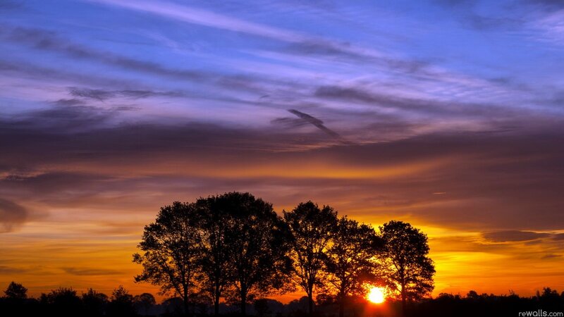 Silhouetted Trees at Sunset — Orange, Dramatic, Photograph, Sun, Clouds, Sky, Purple
