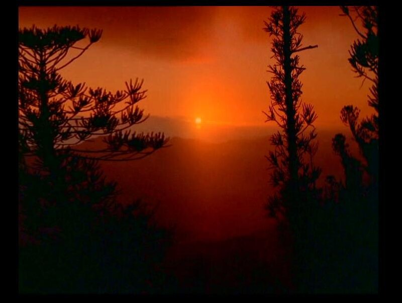 Silhouetted Trees at Sunset — Orange, Dramatic, Photograph, Sun, Mountains