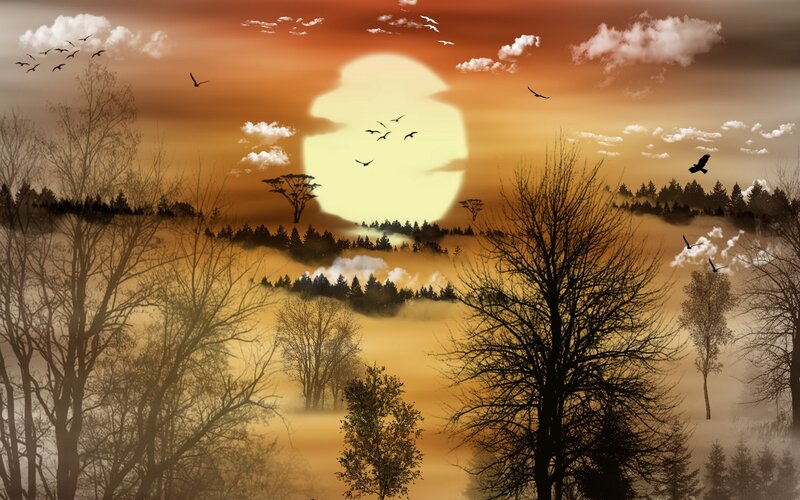 Silhouetted Trees at Sunset — Orange, Serene, Digital Art, Birds