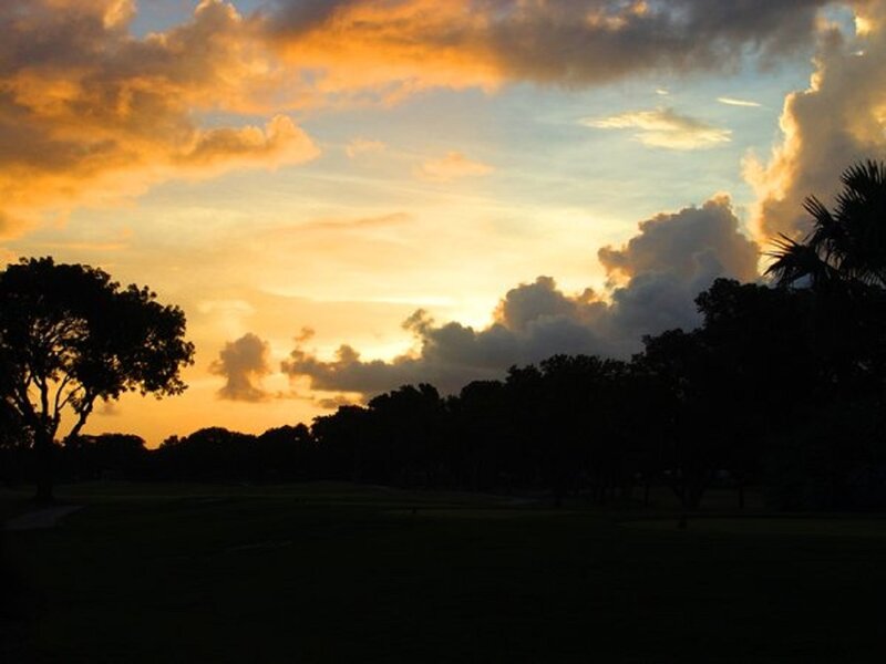 Silhouetted Trees at Sunset — Orange, Serene, Photograph, Clouds, Sky
