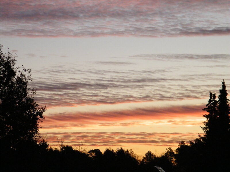 Silhouetted Trees at Sunset — Orange, Serene, Photograph, Clouds