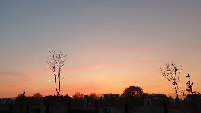 Silhouetted Trees at Sunset — Orange, Serene, Photograph, Houses