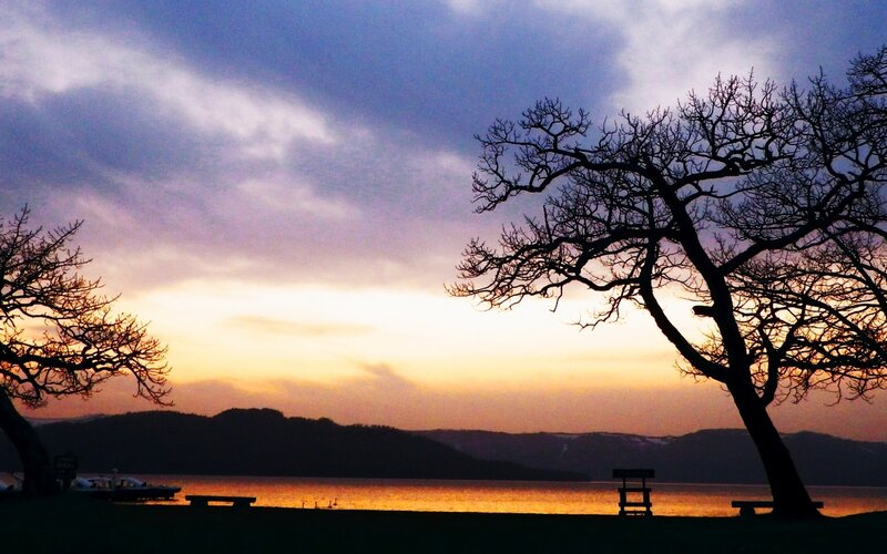 Silhouetted Trees at Sunset — Orange, Serene, Photograph, Lake, Mountains, Bench