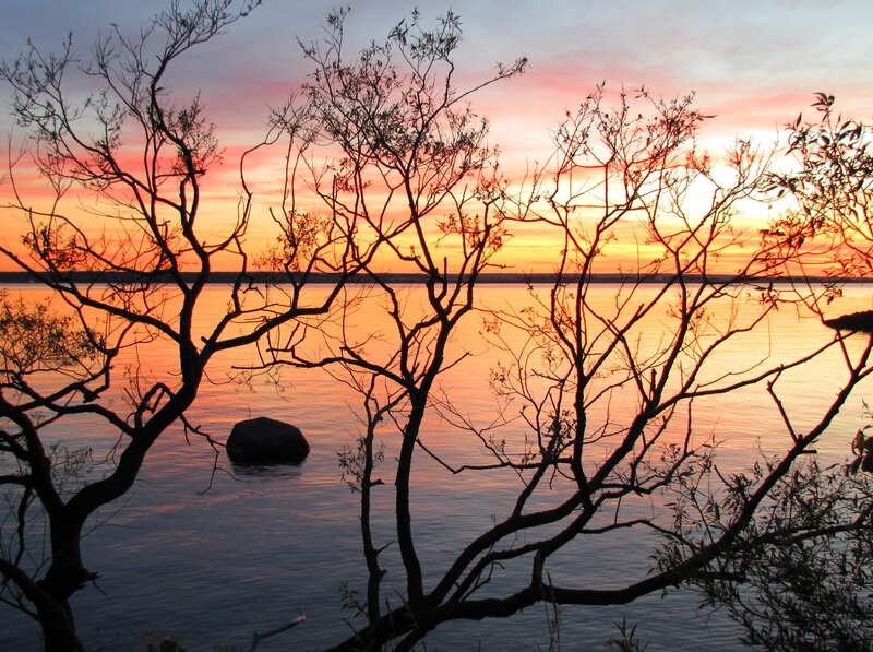 Silhouetted Trees at Sunset — Orange, Serene, Photograph, Lake, Rock
