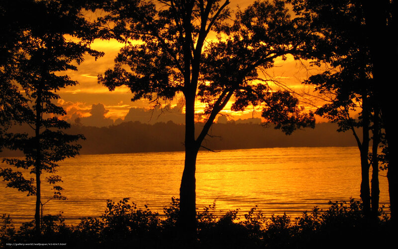 Silhouetted Trees at Sunset — Orange, Serene, Photograph, Lake, Sky, Black