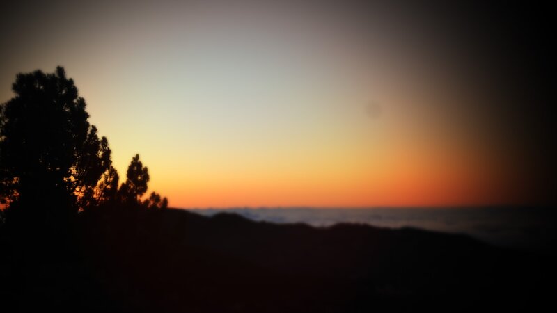 Silhouetted Trees at Sunset — Orange, Serene, Photograph, Mountains, Clouds, Yellow