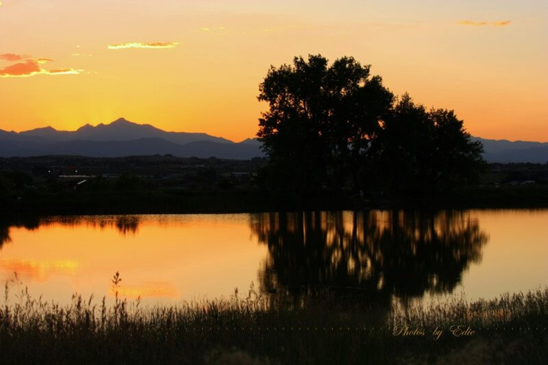 Silhouetted Trees at Sunset — Orange, Serene, Photograph, Mountains
