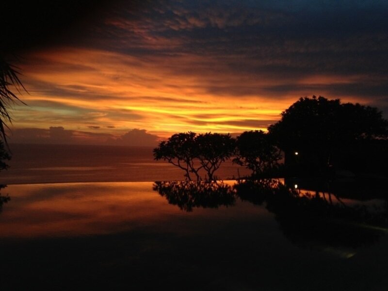 Silhouetted Trees at Sunset — Orange, Serene, Photograph, Ocean, Pool