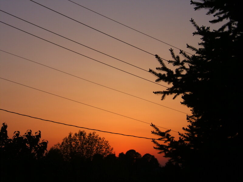 Silhouetted Trees at Sunset — Orange, Serene, Photograph, Power Lines, Sky