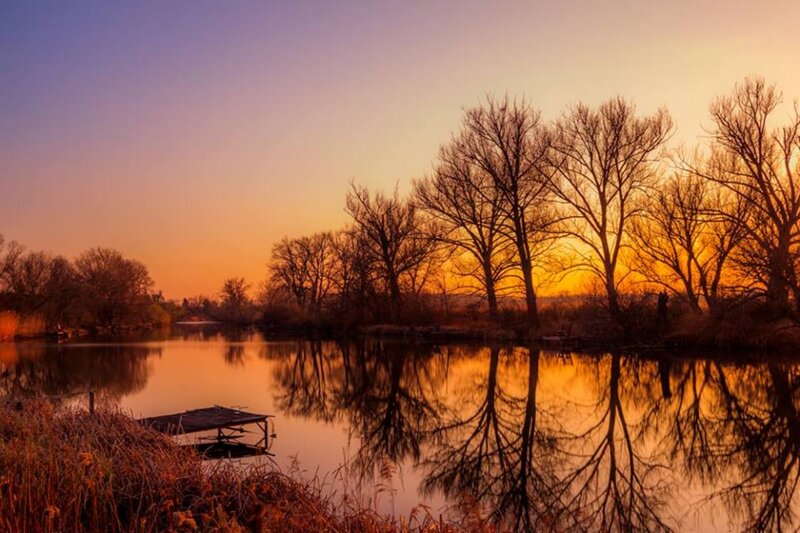 Silhouetted Trees at Sunset — Orange, Serene, Photograph, River, Dock