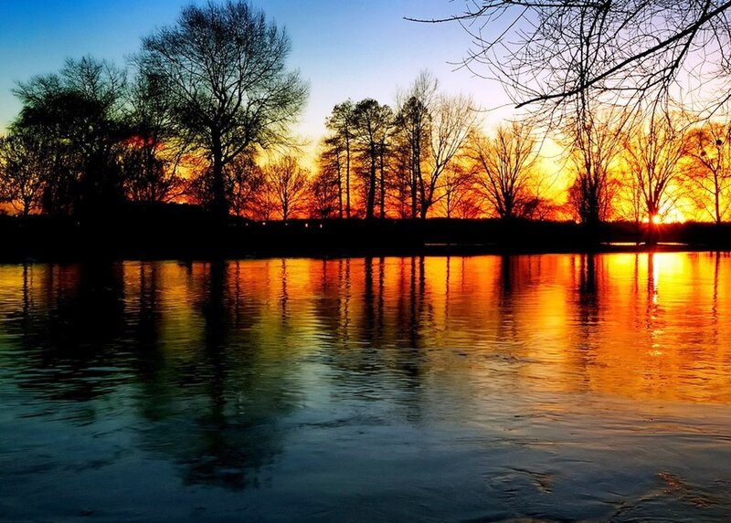 Silhouetted Trees at Sunset — Orange, Serene, Photograph, River, Sky, Blue