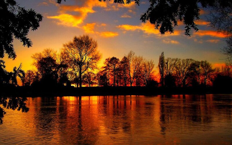 Silhouetted Trees at Sunset — Orange, Serene, Photograph, River, Sky, Clouds