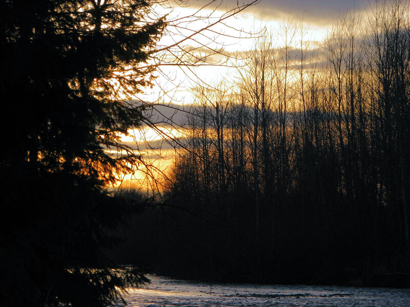 Silhouetted Trees at Sunset — Orange, Serene, Photograph, River, Sky