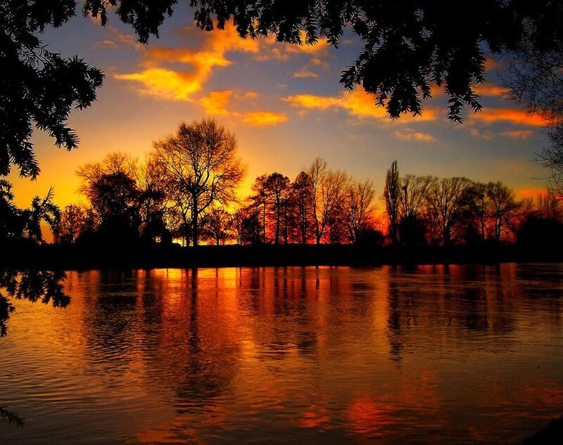 Silhouetted Trees at Sunset — Orange, Serene, Photograph, River, Sky, Yellow, Blue