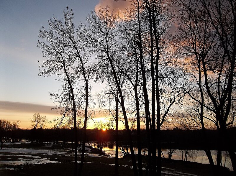 Silhouetted Trees at Sunset — Orange, Serene, Photograph, River, Snow
