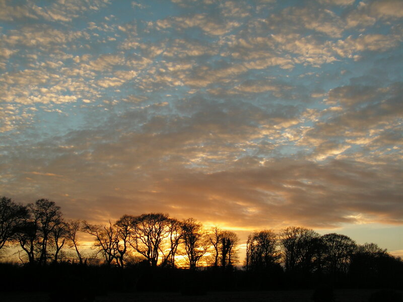 Silhouetted Trees at Sunset — Orange, Serene, Photograph, Sky, Clouds, Blue, Black