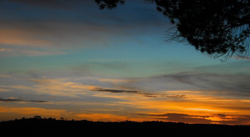 Silhouetted Trees at Sunset — Orange, Serene, Photograph, Sky, Clouds, Blue