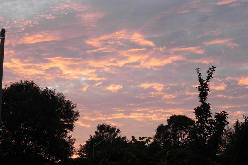 Silhouetted Trees at Sunset — Orange, Serene, Photograph, Sky, Clouds, Pole