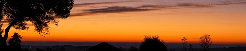 Silhouetted Trees at Sunset — Orange, Serene, Photograph, Sky, Clouds, Roof