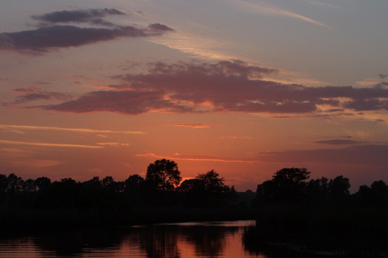 Silhouetted Trees at Sunset — Orange, Serene, Photograph, Sky, Clouds