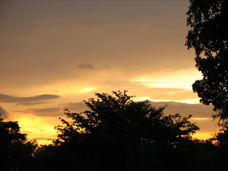 Silhouetted Trees at Sunset — Orange, Serene, Photograph, Sky, Clouds, Yellow, Black