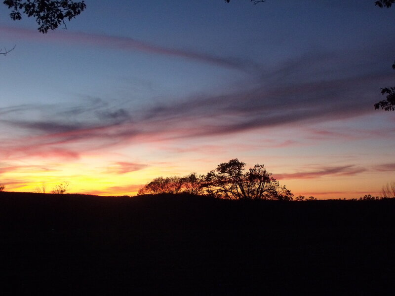Silhouetted Trees at Sunset — Orange, Serene, Photograph, Sky, Clouds, Yellow, Purple