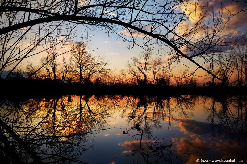 Silhouetted Trees at Sunset — Orange, Serene, Photograph, Sky, Reflection, River