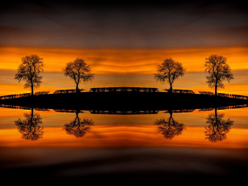 Silhouetted Trees at Sunset — Orange, Serene, Photograph, Sky, Reflection