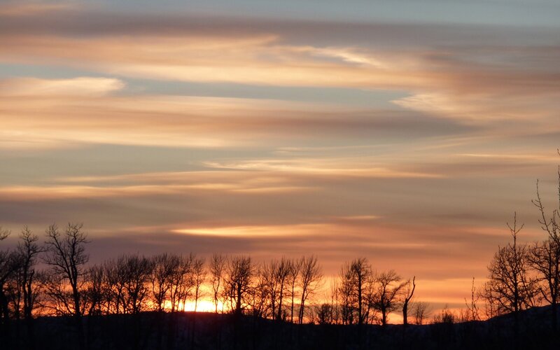 Silhouetted Trees at Sunset — Orange, Serene, Photograph, Sky, Sun, Yellow, Blue
