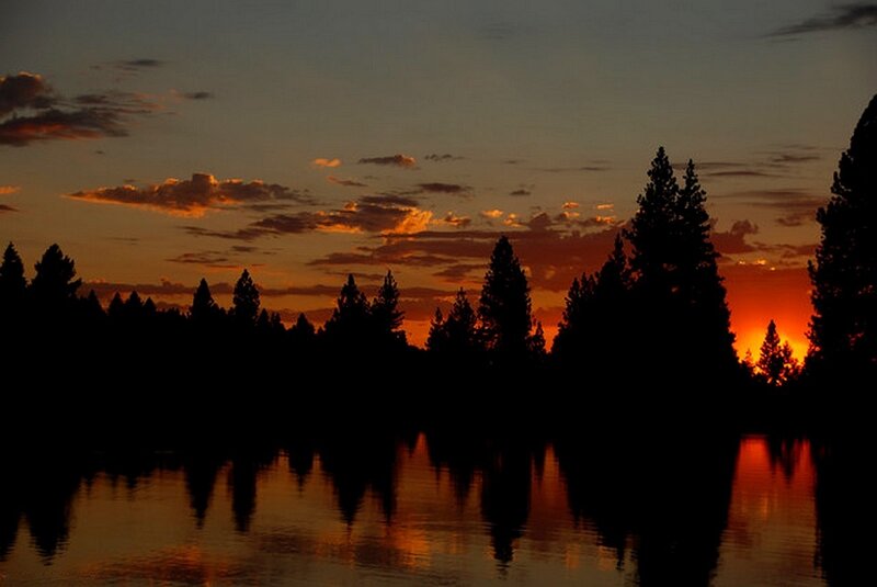 Silhouetted Trees at Sunset — Orange, Serene, Photograph, Sky, Water, Black