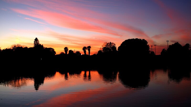 Silhouetted Trees at Sunset — Orange, Serene, Photograph, Sky, Water, Pink