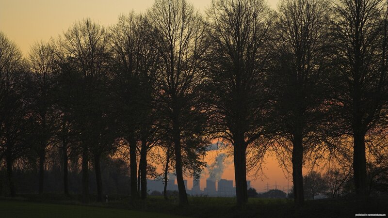 Silhouetted Trees at Sunset — Orange, Serene, Photograph, Smoke