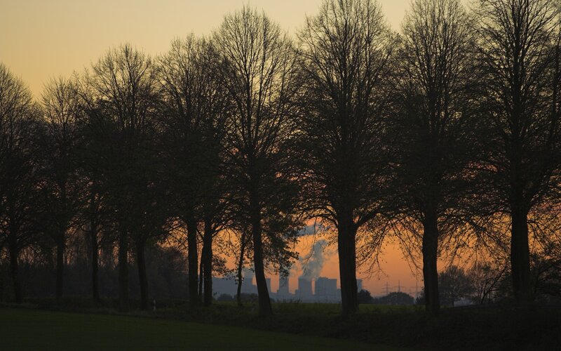 Silhouetted Trees at Sunset — Orange, Serene, Photograph, Smokestacks