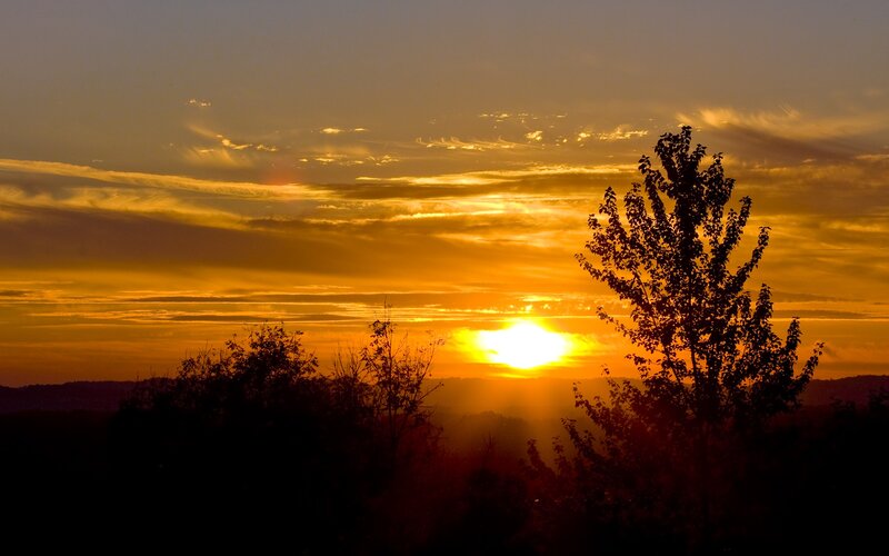 Silhouetted Trees at Sunset — Orange, Serene, Photograph, Sun, Clouds, Hills, Yellow
