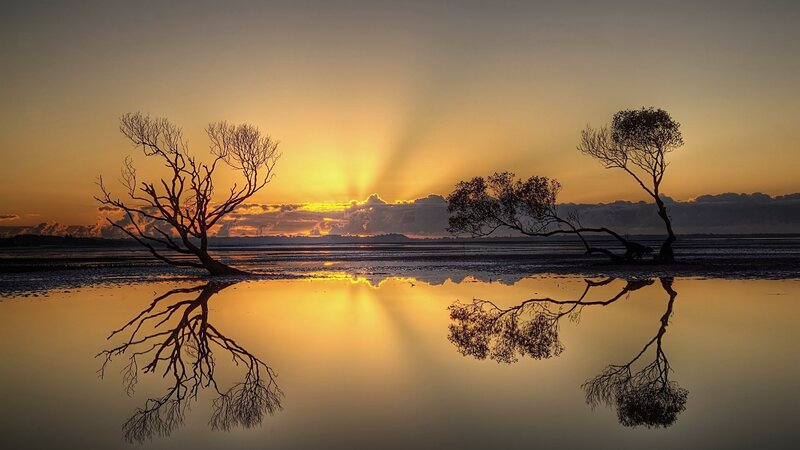 Silhouetted Trees at Sunset — Orange, Serene, Photograph, Sun, Clouds, Reflection