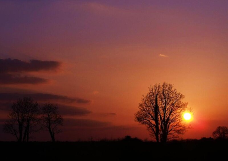 Silhouetted Trees at Sunset — Orange, Serene, Photograph, Sun, Clouds, Sky
