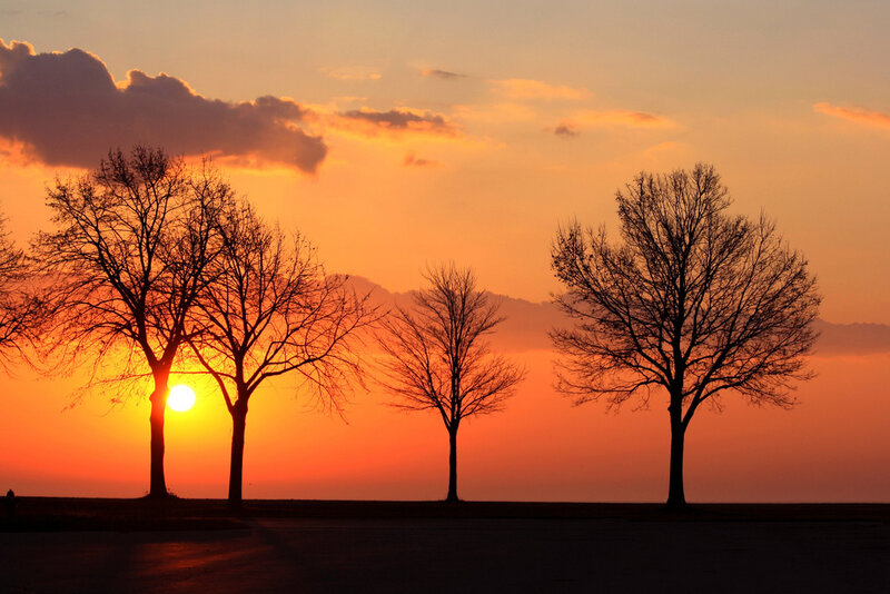 Silhouetted Trees at Sunset — Orange, Serene, Photograph, Sun, Clouds