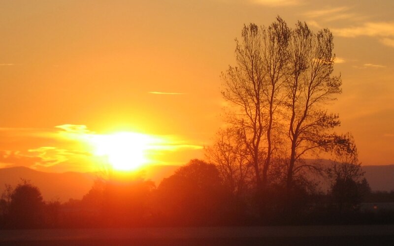 Silhouetted Trees at Sunset — Orange, Serene, Photograph, Sun, Mountains, Sky