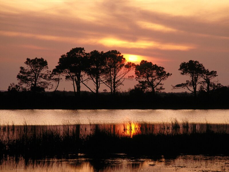 Silhouetted Trees at Sunset — Orange, Serene, Photograph, Sun, River, Sky, Yellow
