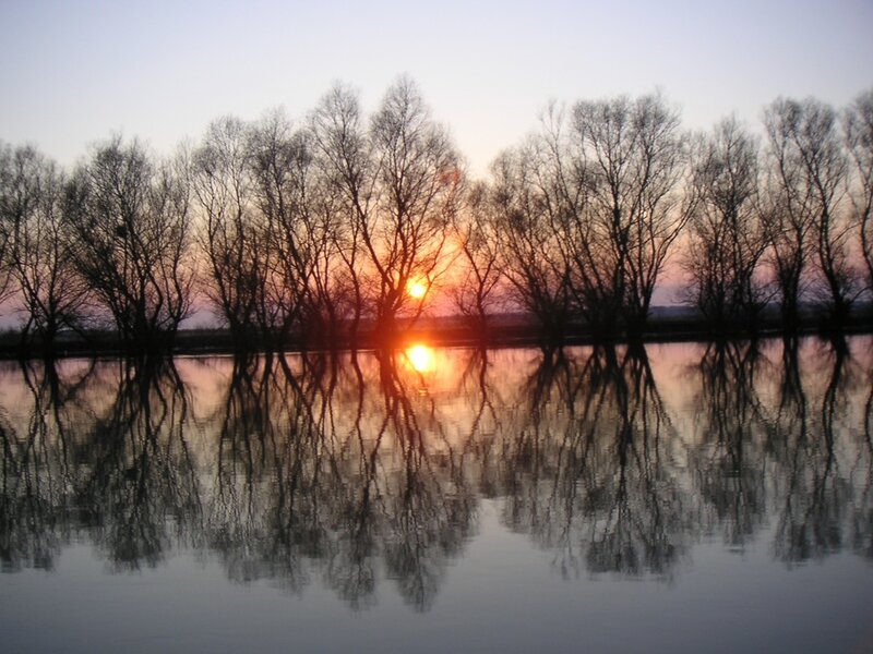 Silhouetted Trees at Sunset — Orange, Serene, Photograph, Sun, River