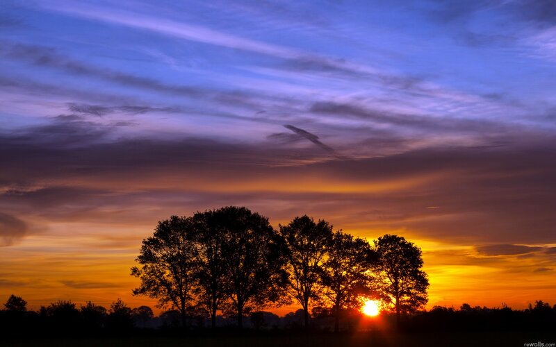 Silhouetted Trees at Sunset — Orange, Serene, Photograph, Sun, Sky, Clouds, Purple