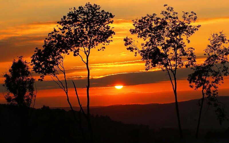 Silhouetted Trees at Sunset — Orange, Serene, Photograph, Sun, Sky, Hills