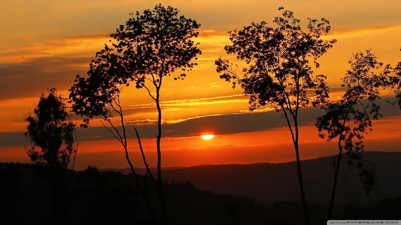 Silhouetted Trees at Sunset — Orange, Serene, Photograph, Sun, Sky, Hills, Yellow