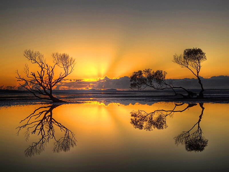 Silhouetted Trees at Sunset — Orange, Serene, Photograph, Sun, Sky, Reflection