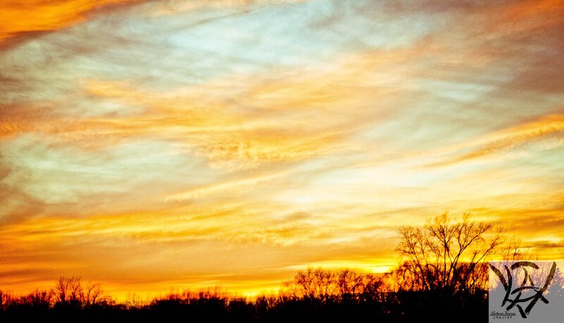 Silhouetted Trees at Sunset — Photograph, Clouds
