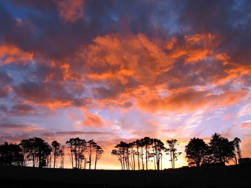Silhouetted Trees at Sunset — Photograph, Sky