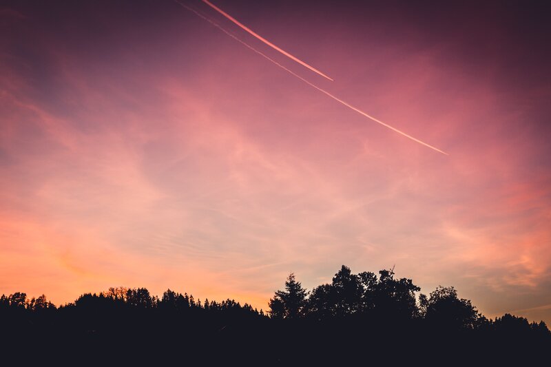 Silhouetted Trees at Sunset — Pink, Serene, Photograph, Sky, Clouds, Airplane Trails