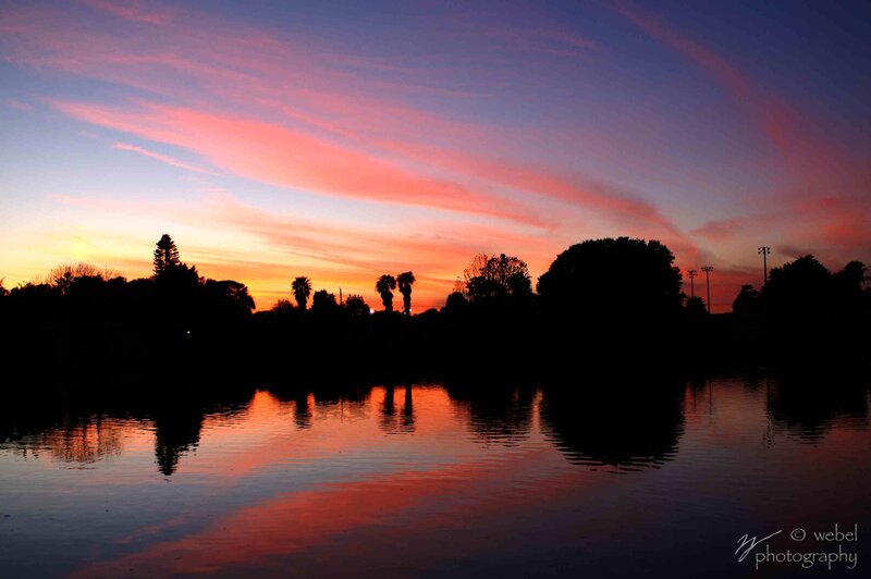 Silhouetted Trees at Sunset — Pink, Serene, Photograph