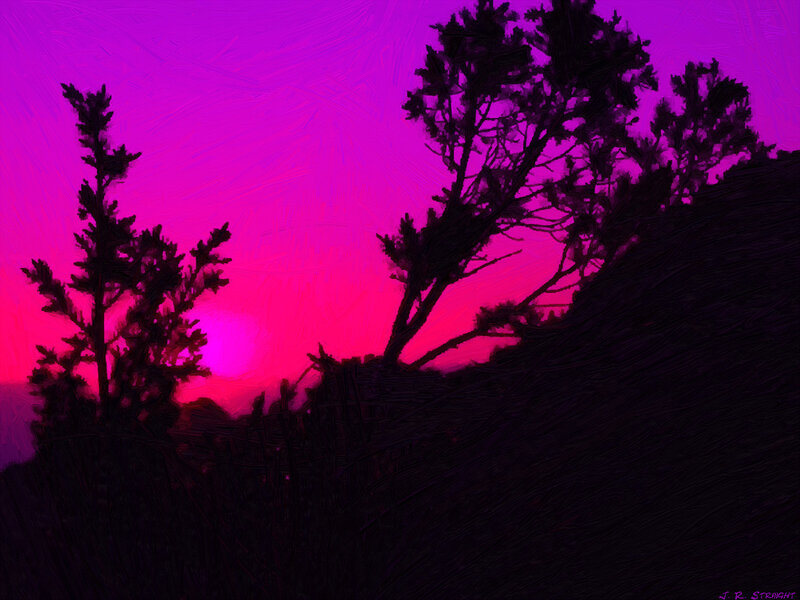 Silhouetted Trees at Sunset — Purple, Dramatic, Digital Art, Sky